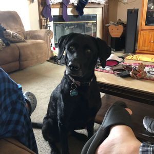 Meet your Posher, Jamie